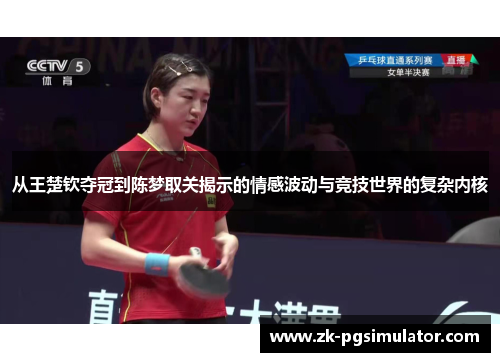 从王楚钦夺冠到陈梦取关揭示的情感波动与竞技世界的复杂内核 从王楚钦夺冠到陈梦取关揭示的情感波动与竞技世界的复杂内核