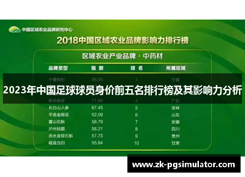 2023年中国足球球员身价前五名排行榜及其影响力分析 2023年中国足球球员身价前五名排行榜及其影响力分析