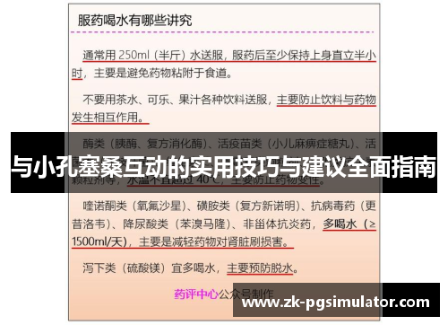 与小孔塞桑互动的实用技巧与建议全面指南 与小孔塞桑互动的实用技巧与建议全面指南