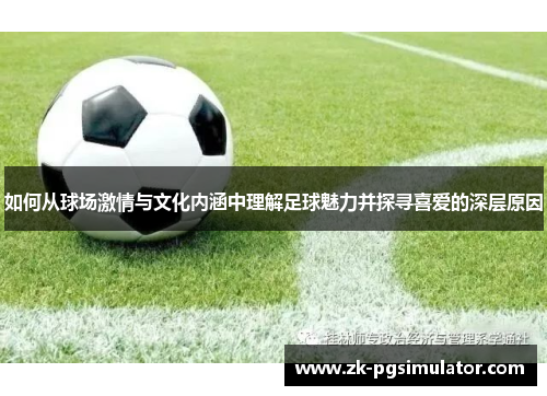 如何从球场激情与文化内涵中理解足球魅力并探寻喜爱的深层原因 如何从球场激情与文化内涵中理解足球魅力并探寻喜爱的深层原因