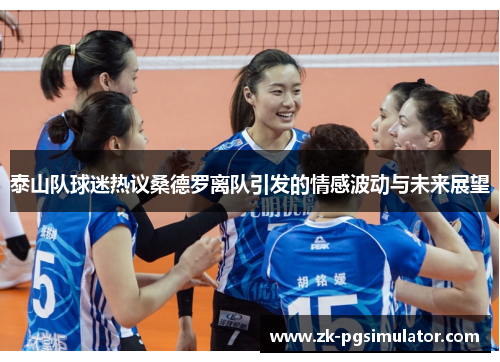 泰山队球迷热议桑德罗离队引发的情感波动与未来展望 泰山队球迷热议桑德罗离队引发的情感波动与未来展望