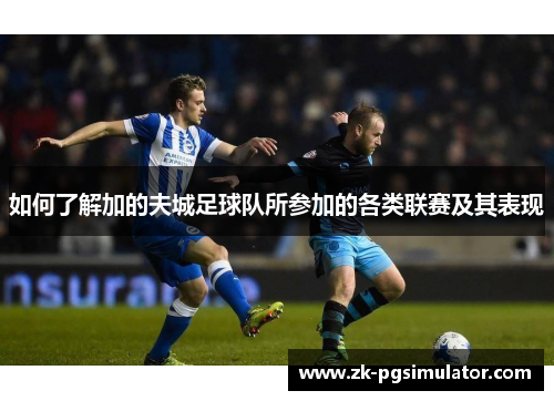 如何了解加的夫城足球队所参加的各类联赛及其表现 如何了解加的夫城足球队所参加的各类联赛及其表现