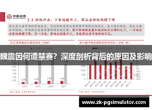 魏震因何遭禁赛?深度剖析背后的原因及影响 魏震因何遭禁赛?深度剖析背后的原因及影响