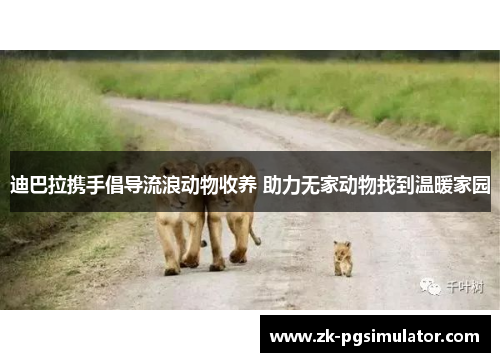 迪巴拉携手倡导流浪动物收养 助力无家动物找到温暖家园
